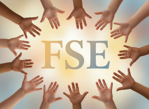 FSE.png