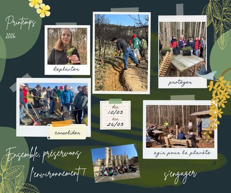 vert bleu beige scrapbook voyage nature souvenir pèle mèle Post Facebook.jpg